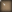bull1.gif (547 bytes)
