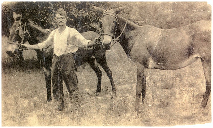 Joseph Curran Jr(fixed).jpg (165832 bytes)